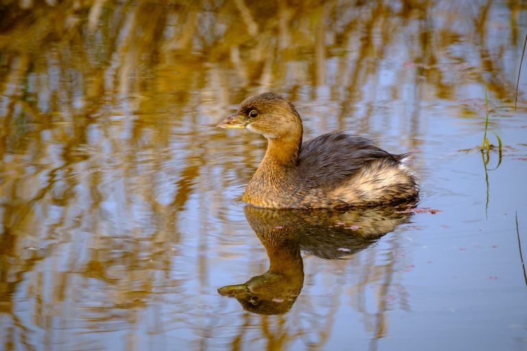 I want sharper images!